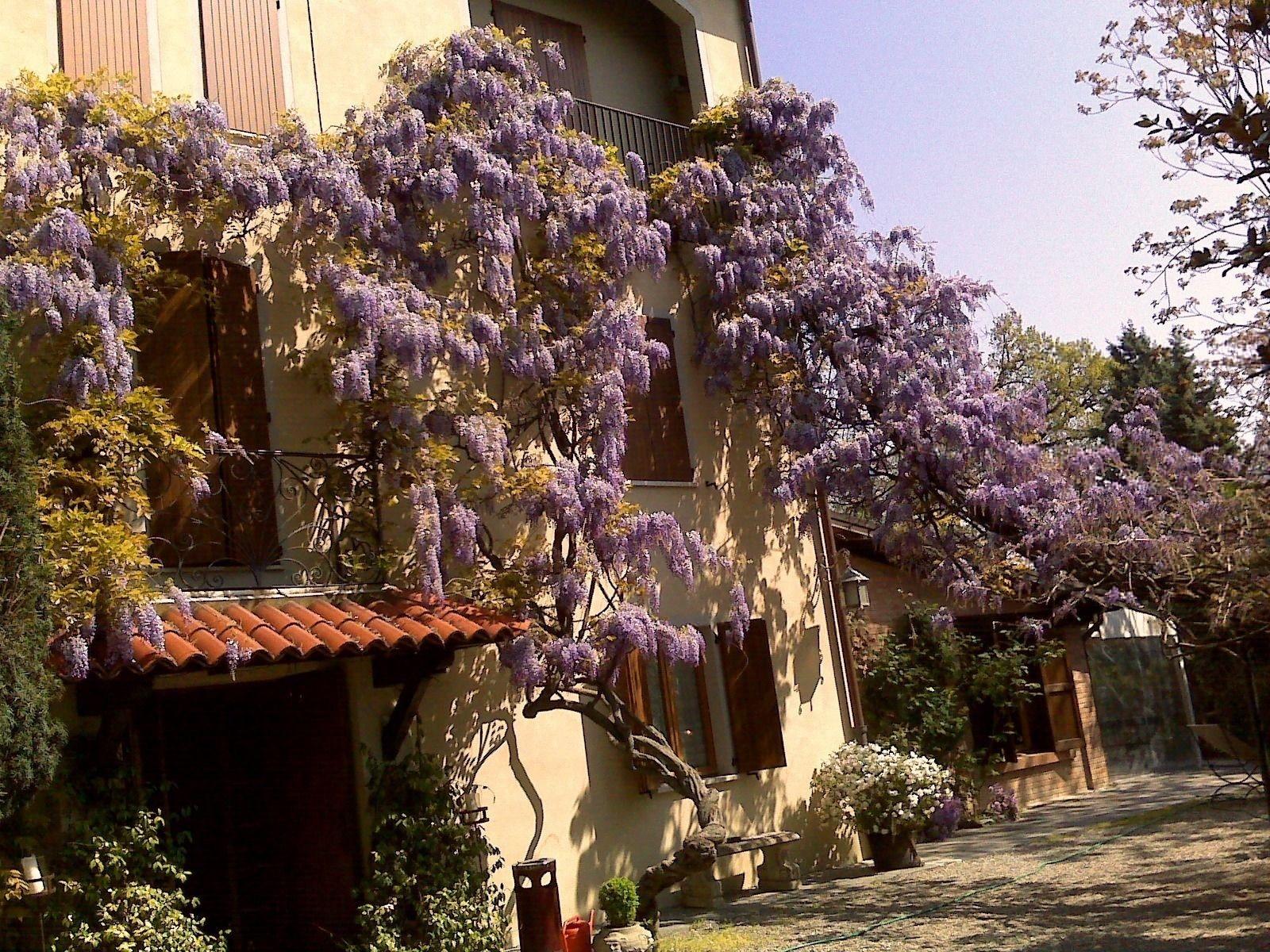 Vista Exterior Country Hotel Le Querce
