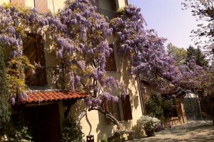 Alojamiento - Country Hotel Le Querce