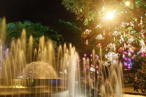 Actividad - Tour nocturno por la Medellín bohemia