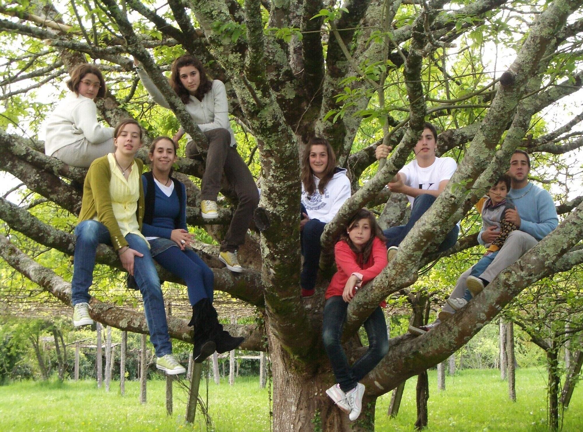 Instalaciones Recreativas Pazo Cibrán