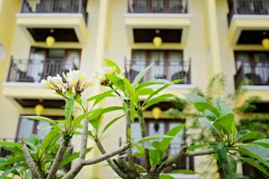 Alojamiento - Bel Marina Hoi An Resort