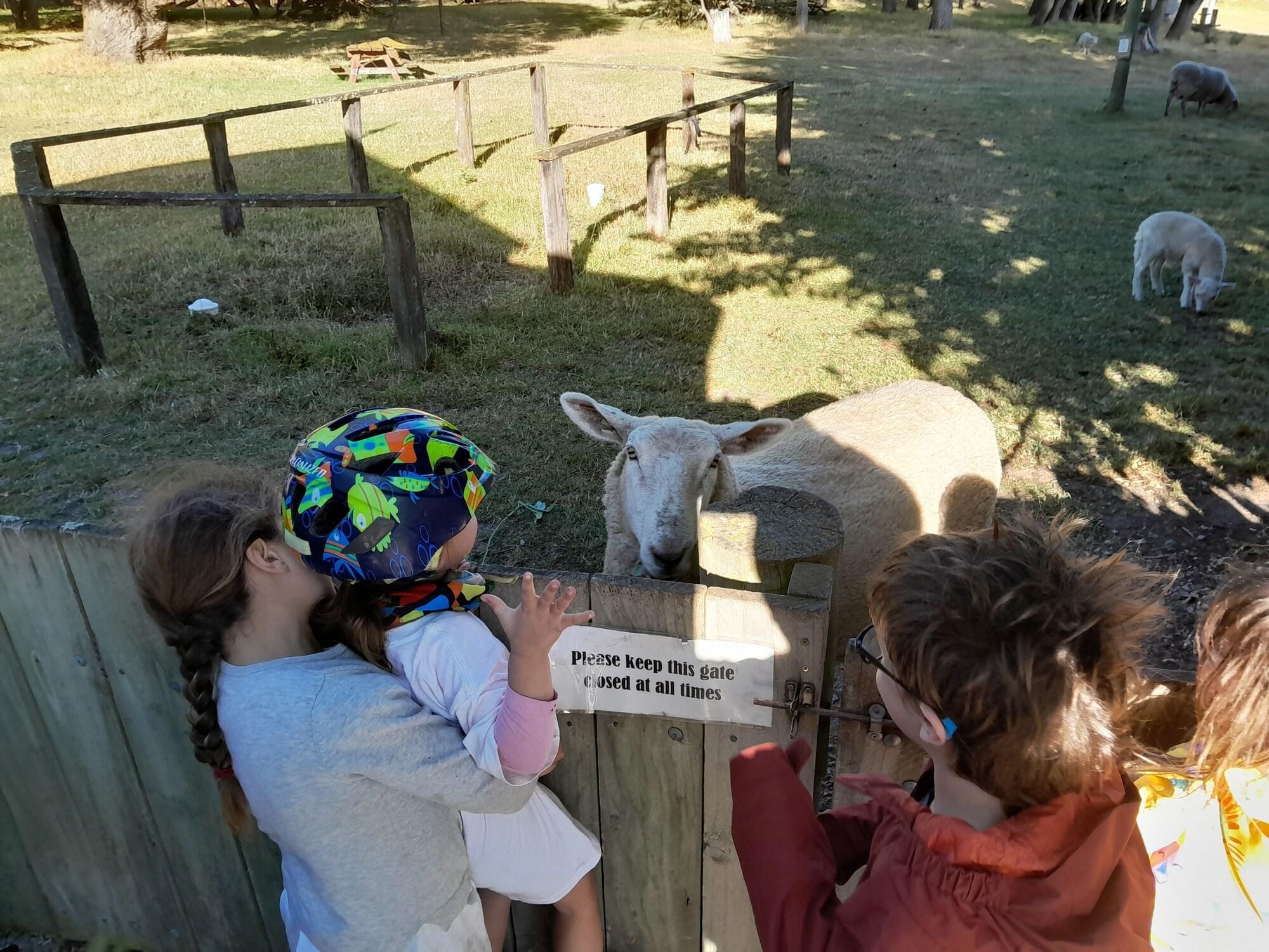 Instalaciones Recreativas Peter's Farm Lodge