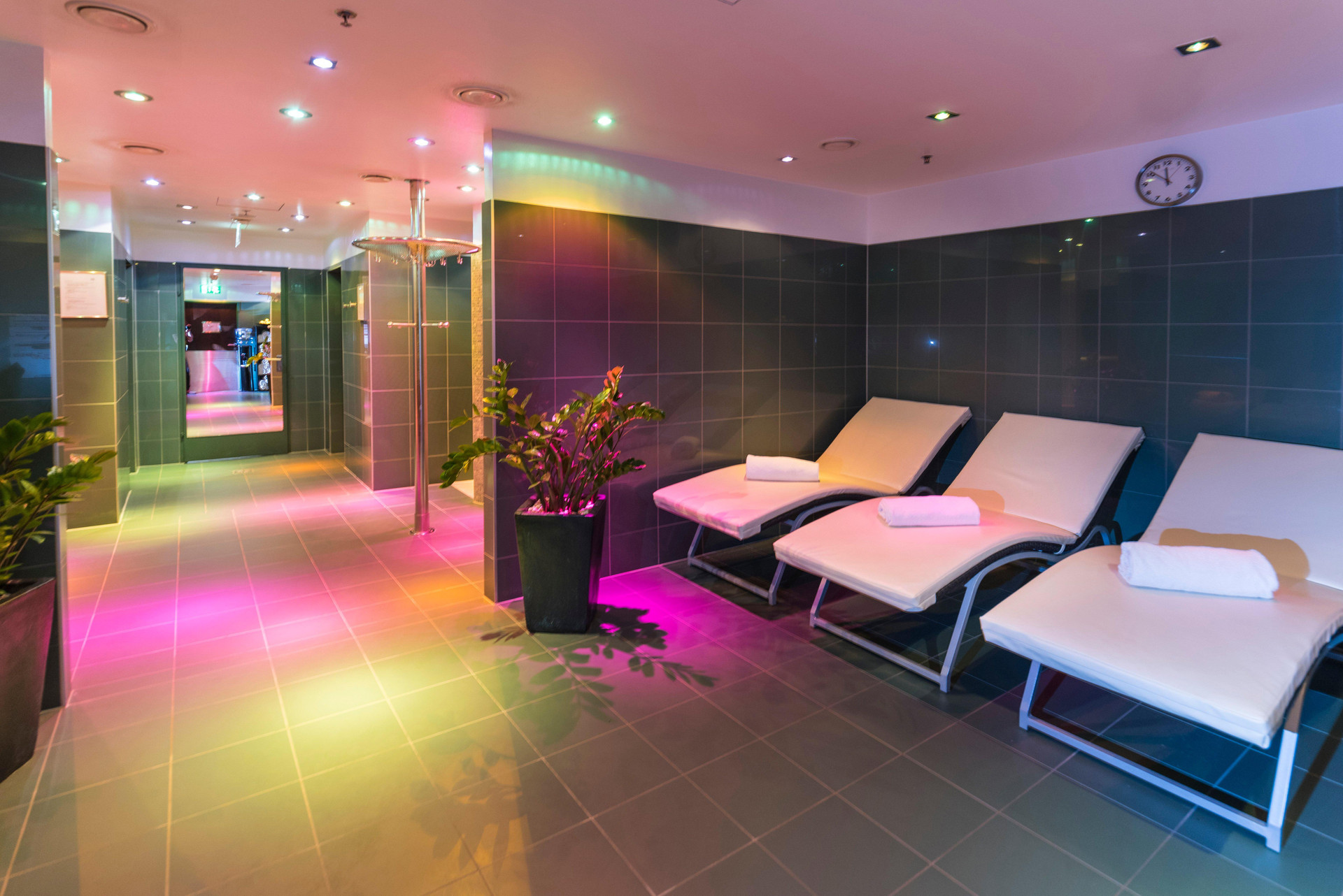 Instalaciones Recreativas InterContinental Vienna by IHG