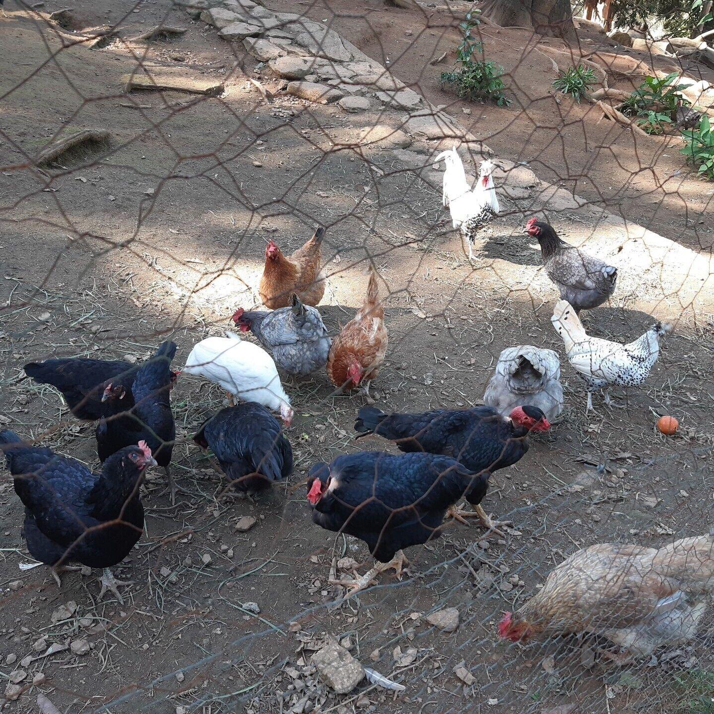 Varios pousada a marca do faraó