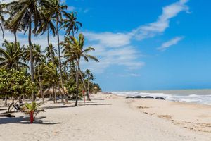 Actividad - Excursión a la playa de Palomino