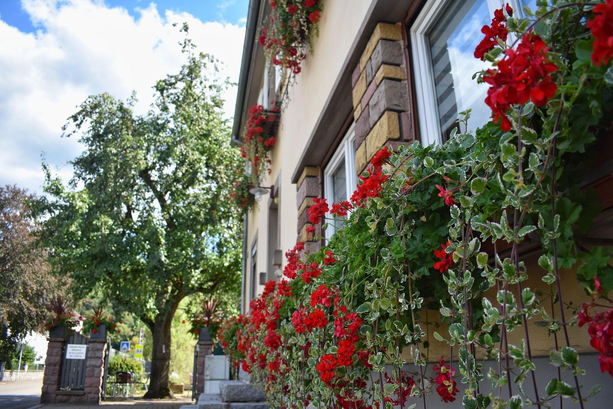 Vista Exterior Hotel Deybach