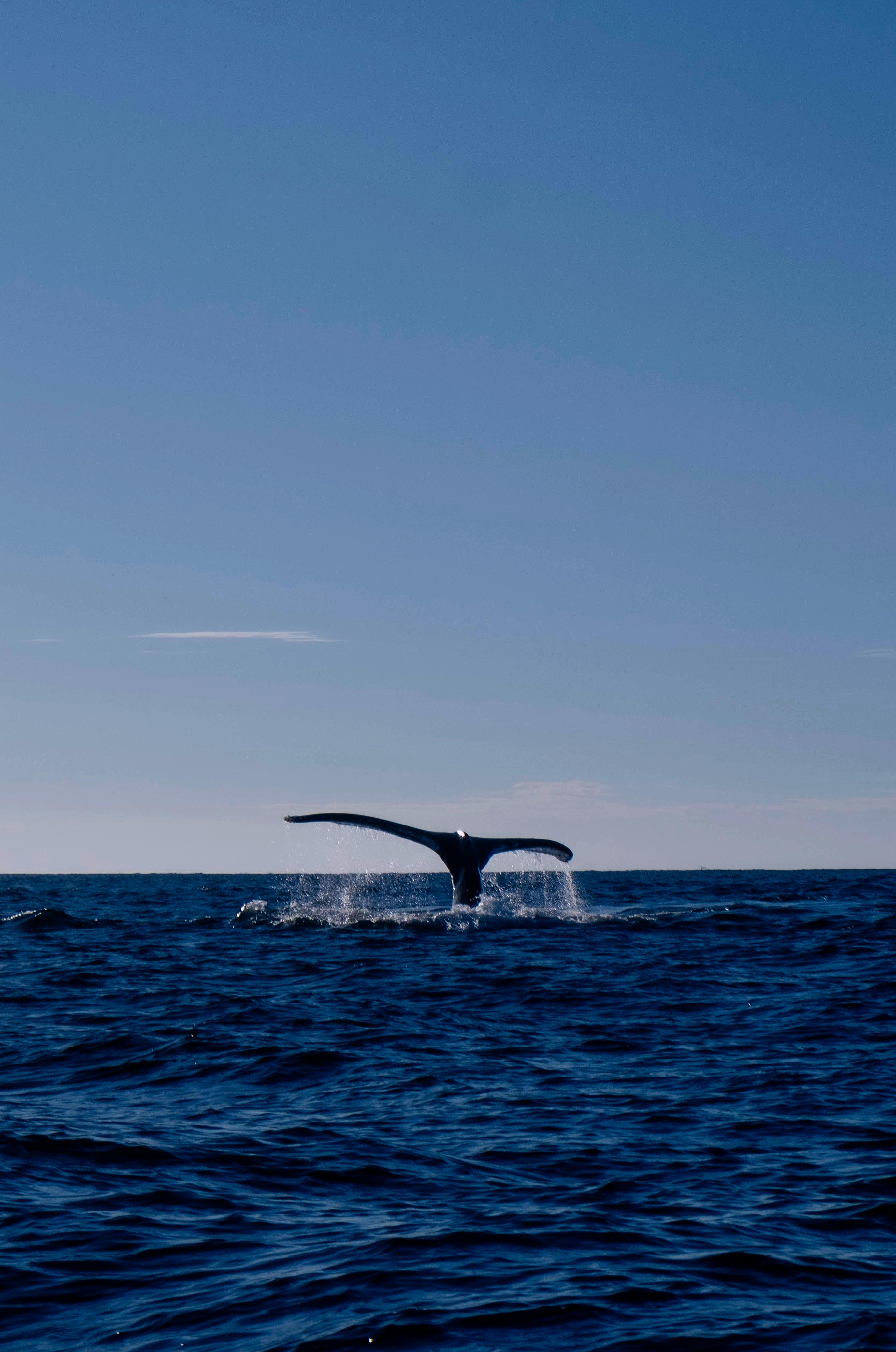 Varios Pousada Austral Suítes
