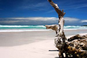 Actividad - Tour Isla Santa Fe