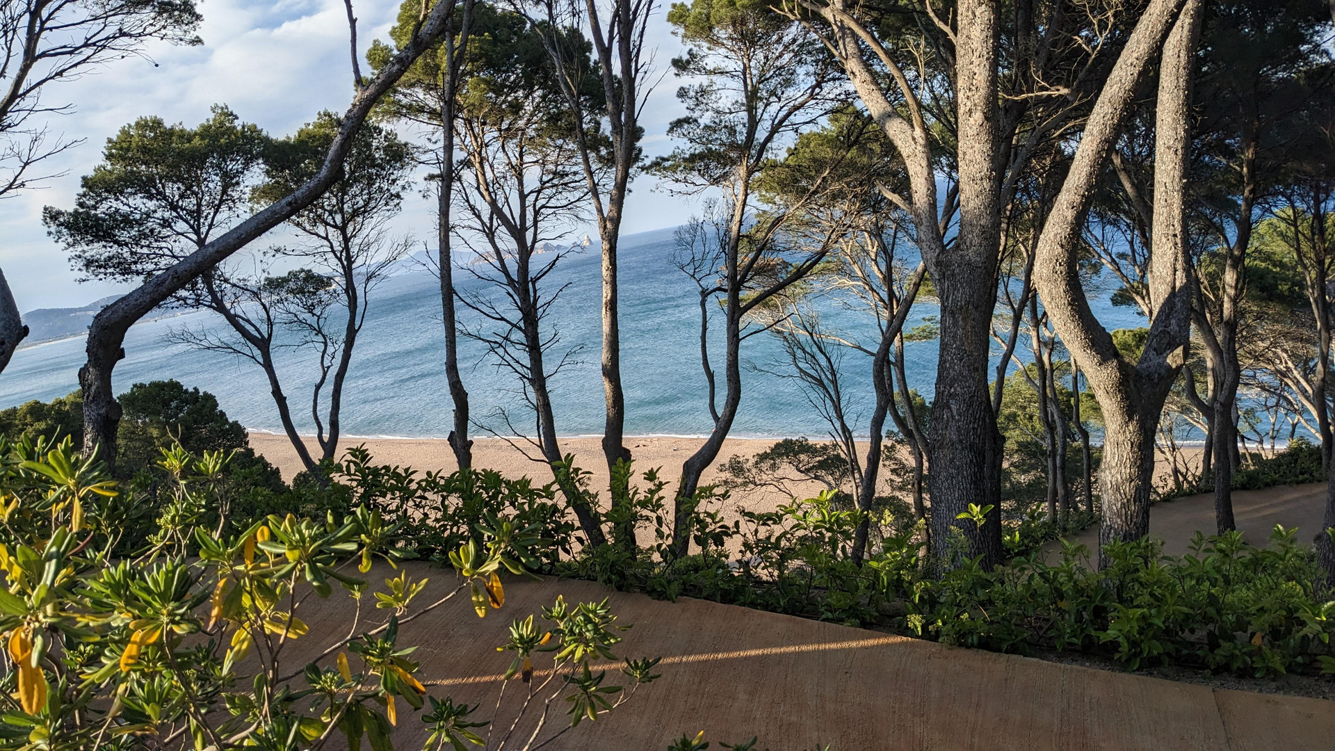 Playa Hotel Sa Punta