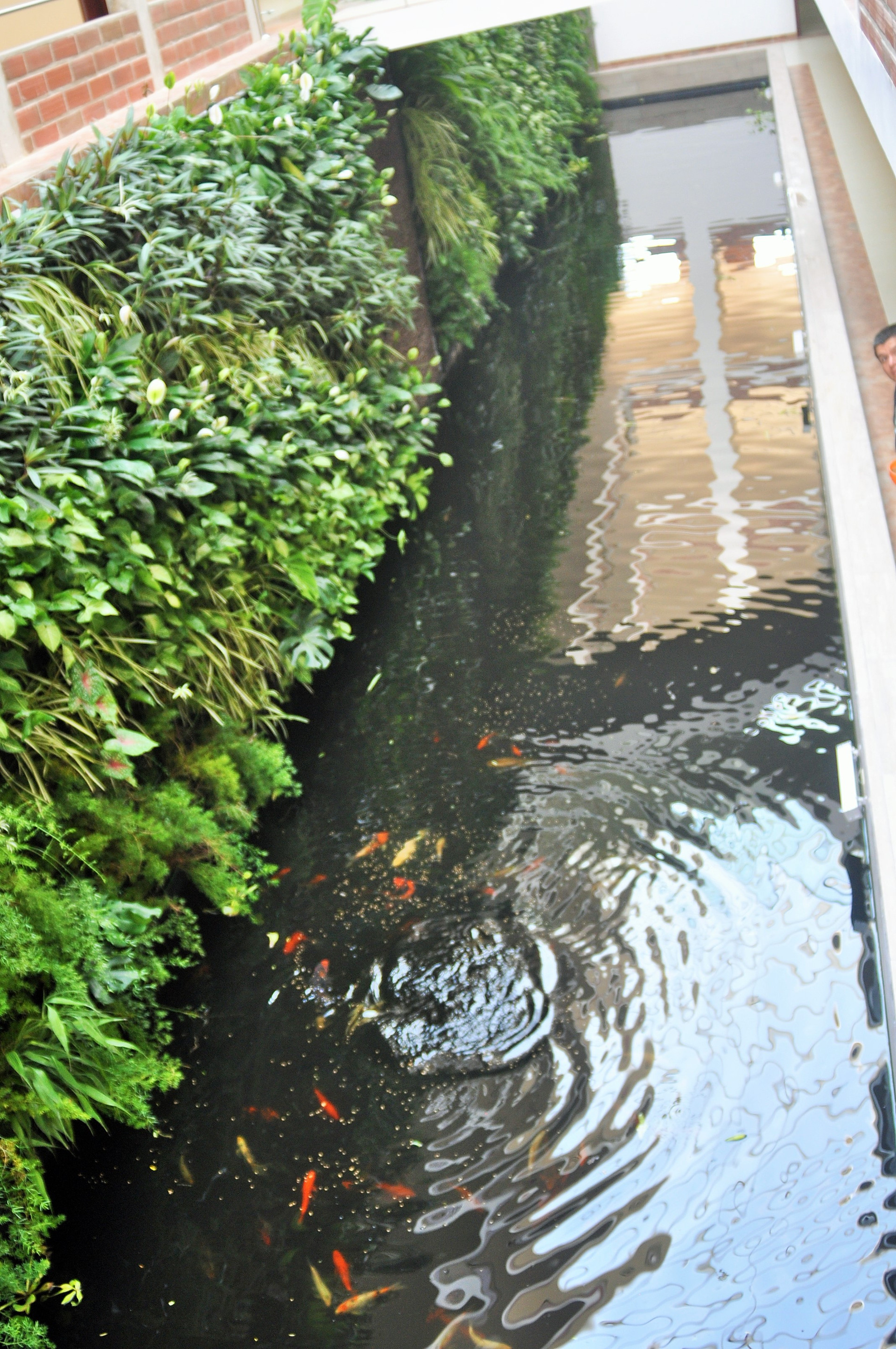 Varios Gran Hotel de Lago - Shushufindi