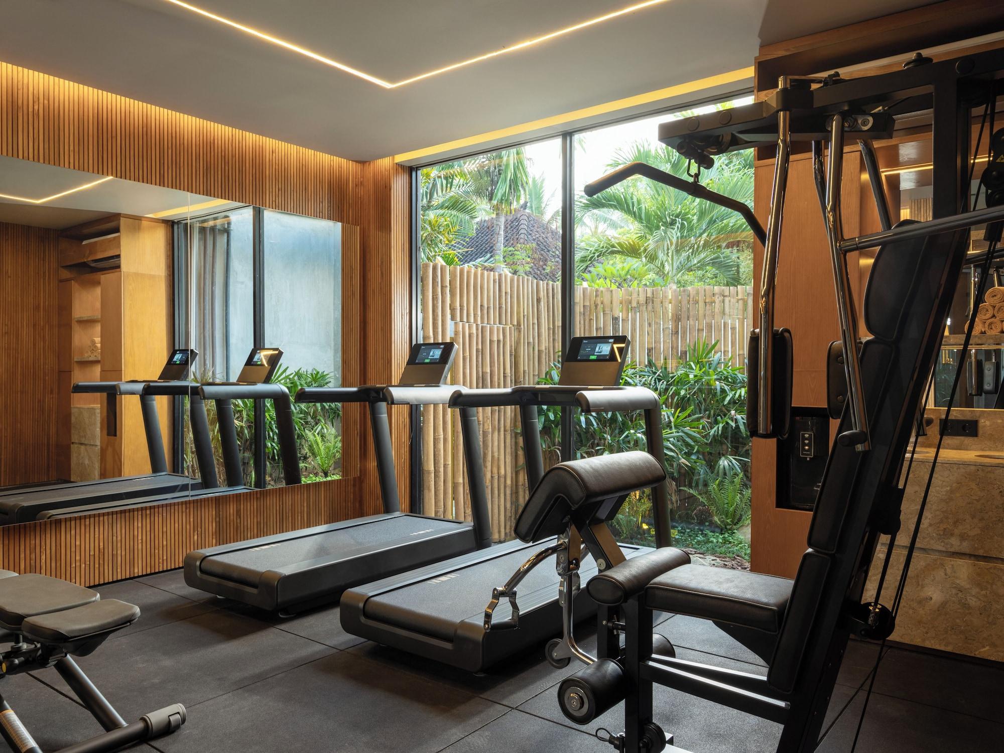 Gimnasio Alaya Suites Ubud