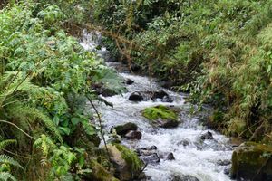 Actividad - Excursión a los termales de San Vicente