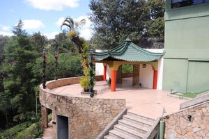 Alojamiento - Suites Jardin Imperial