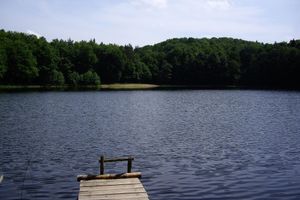 Alquiler Vacacional - Bungalow at Forsthaus Thursee, 1 bedroom, living room with sofa bed