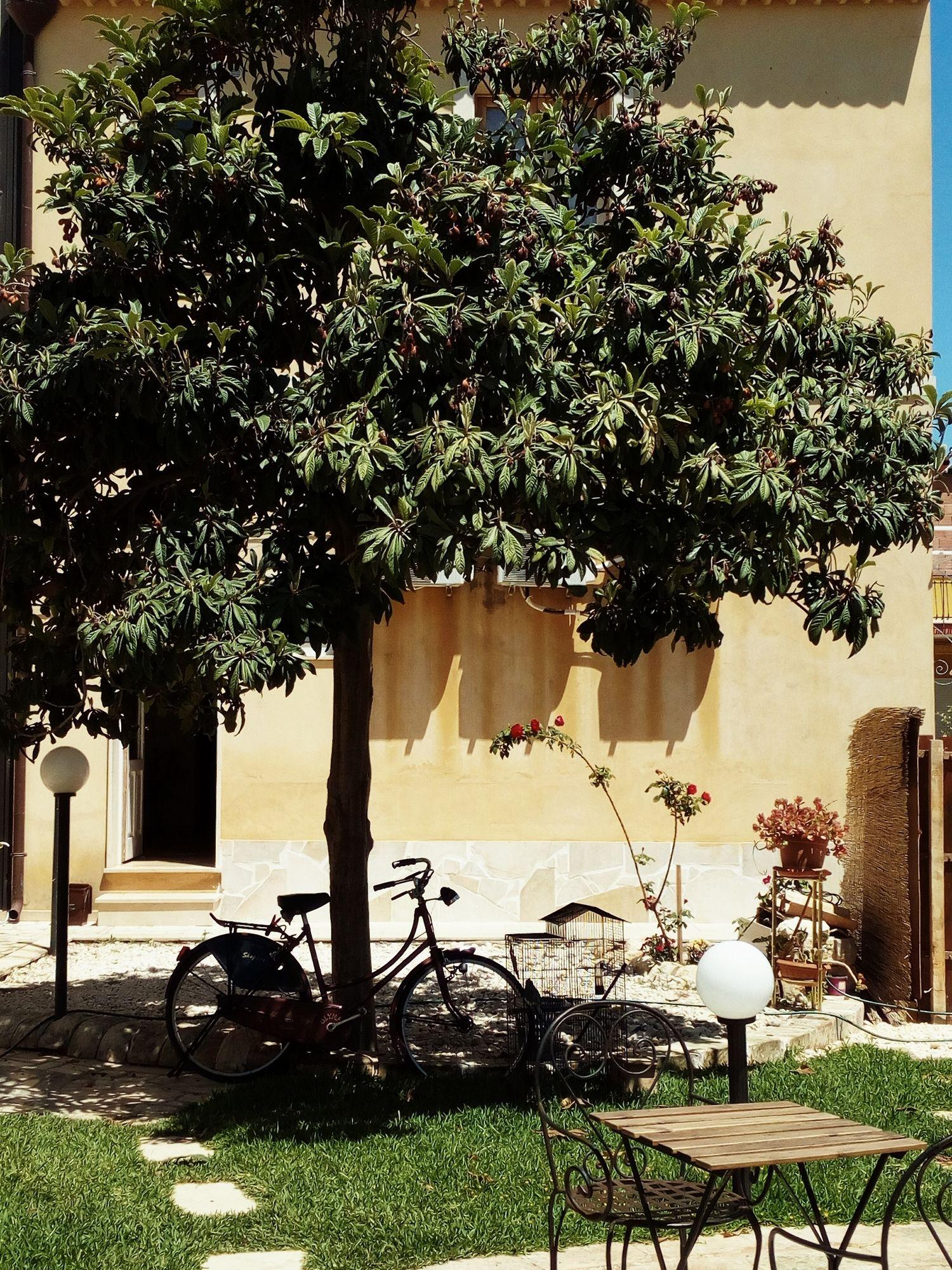 Vista Exterior B&B ù canzu rooms
