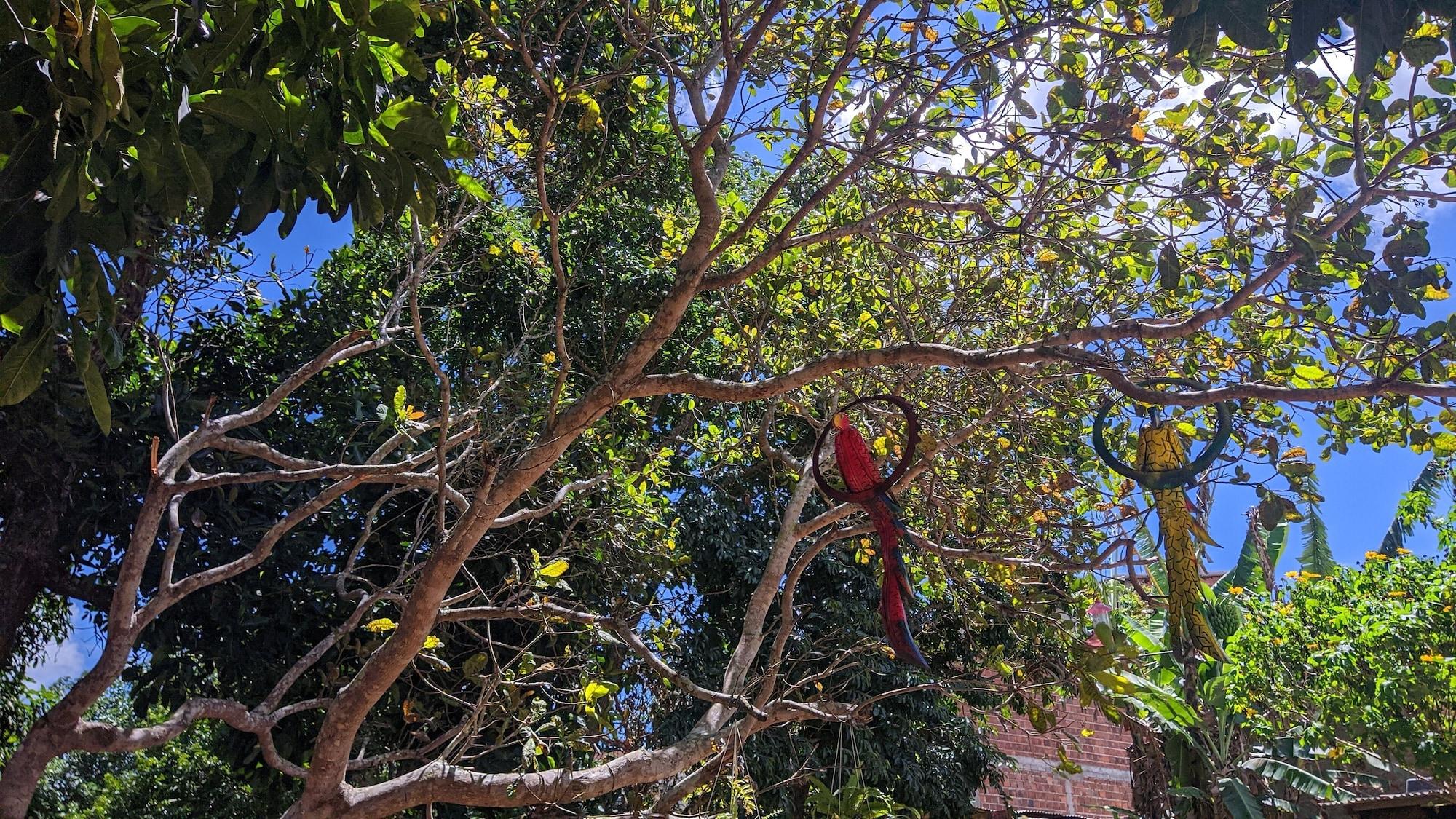 Comodidades del Alojamiento Pousada Viana