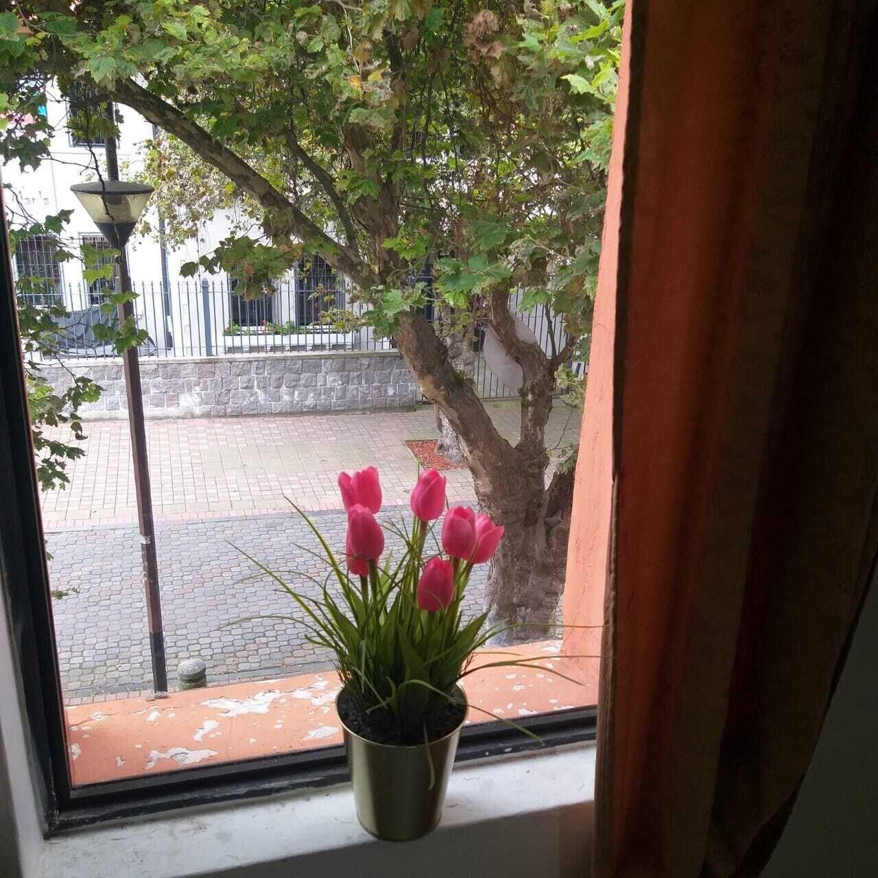 Varios Hostal Whipala