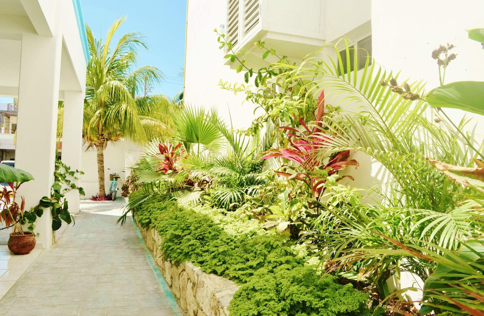 Varios Corales Suites