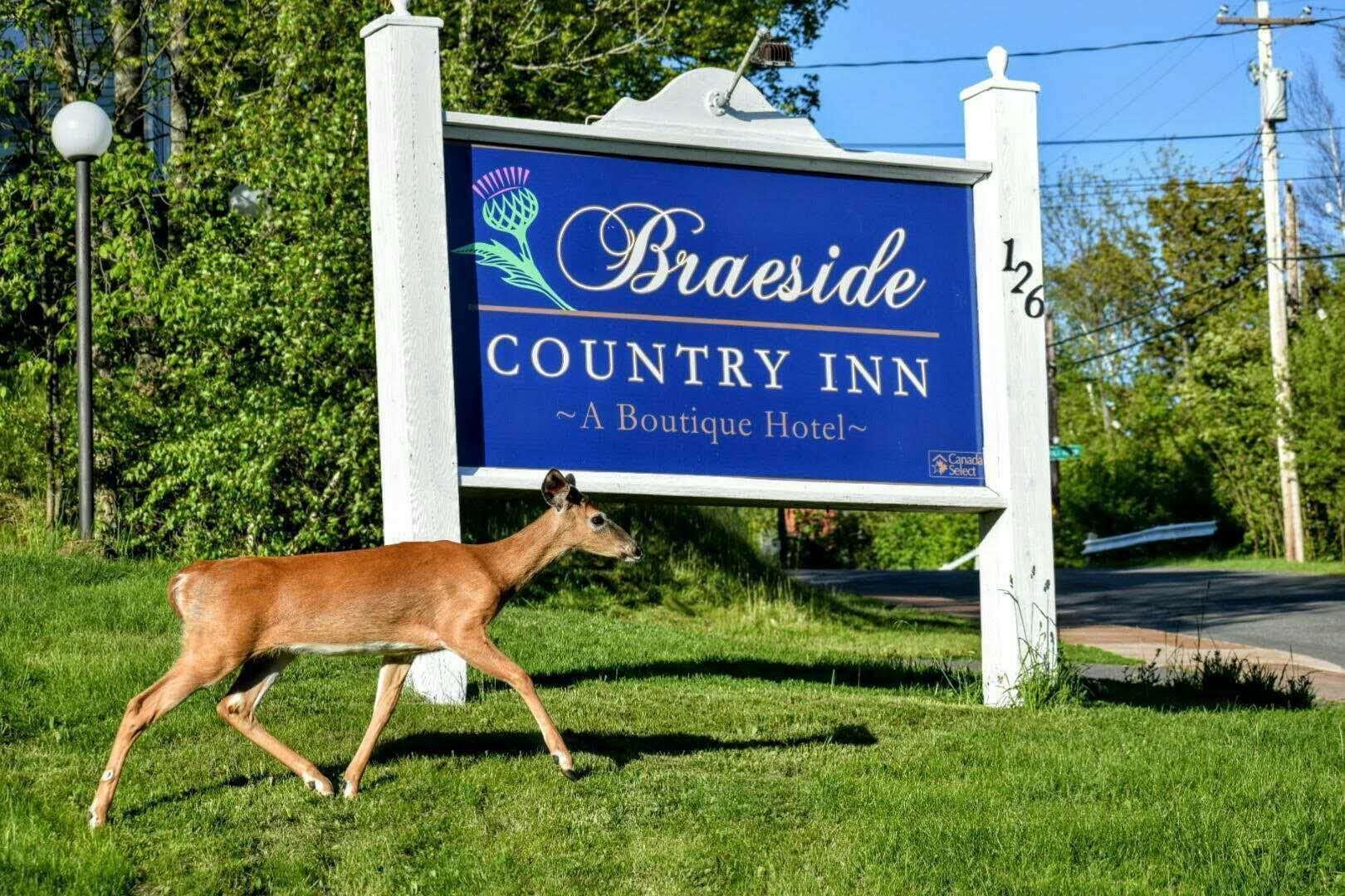Vista Exterior Braeside Country Inn