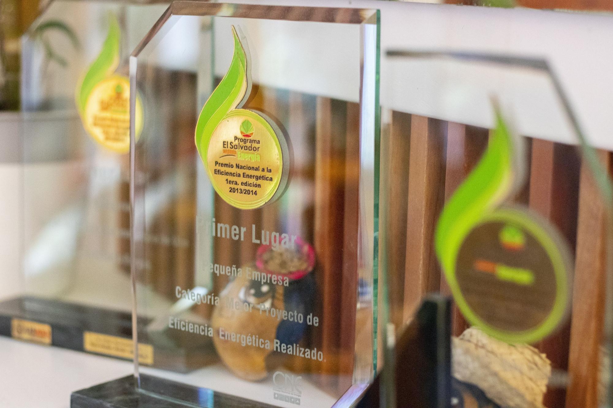 Vista Lobby Árbol de Fuego Eco-hotel, a green experience in the city