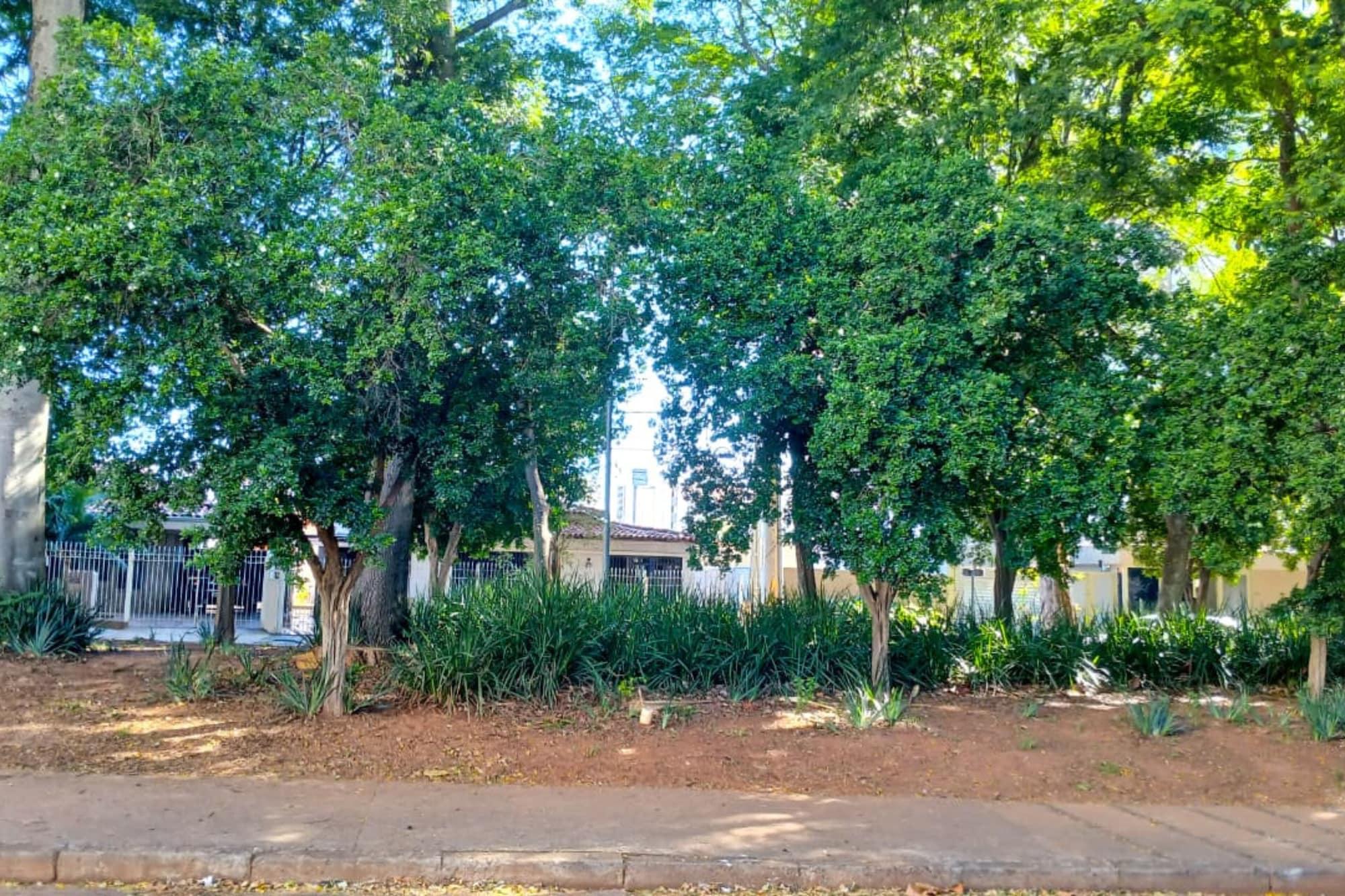 Vista Exterior Pousada Guanabara Inn Campinas-SP