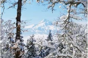 Alquiler Vacacional - Pet friendly studio apartment in the woods near charming White Salmon