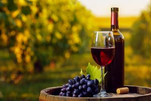 Actividad - Ruta del Vino en Aguascalientes
