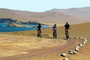 Actividad - AVENTURA EN BICICLETA EN LA RESERVA DE PARACAS