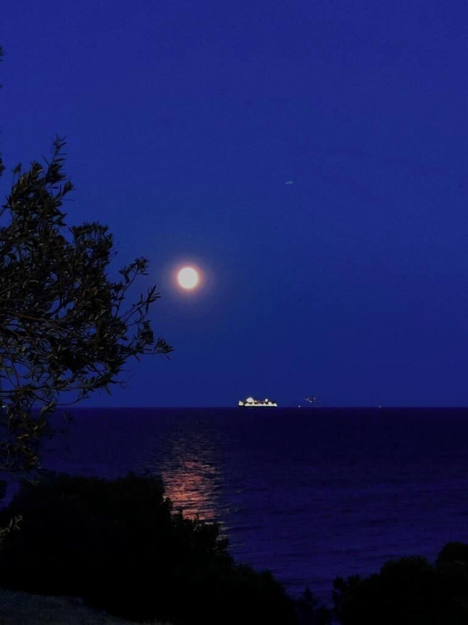 Playa Kavos Bay Seafront Hotel