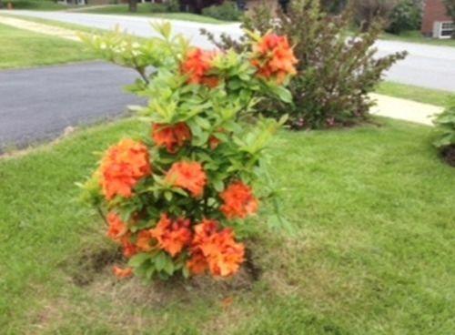 Comodidades del Alojamiento Beatonridge Guest House