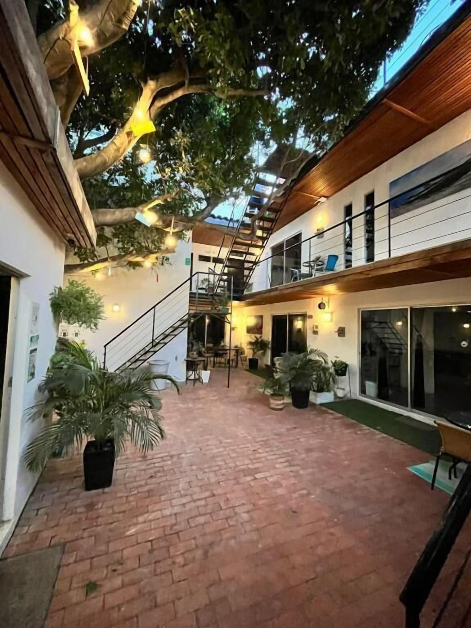 Vista Lobby Ocean Lovers Taganga Dive Center& Hostel