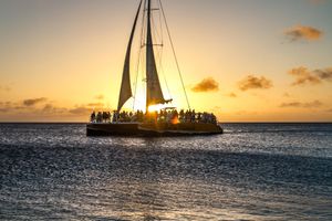 Actividad - Crucero al atardecer en el Palm Pleasure