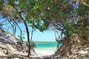 Actividad - De dunas a lagunas: maravillas del este de Jericoacoara con traslados ida y vuelta al aeropuerto