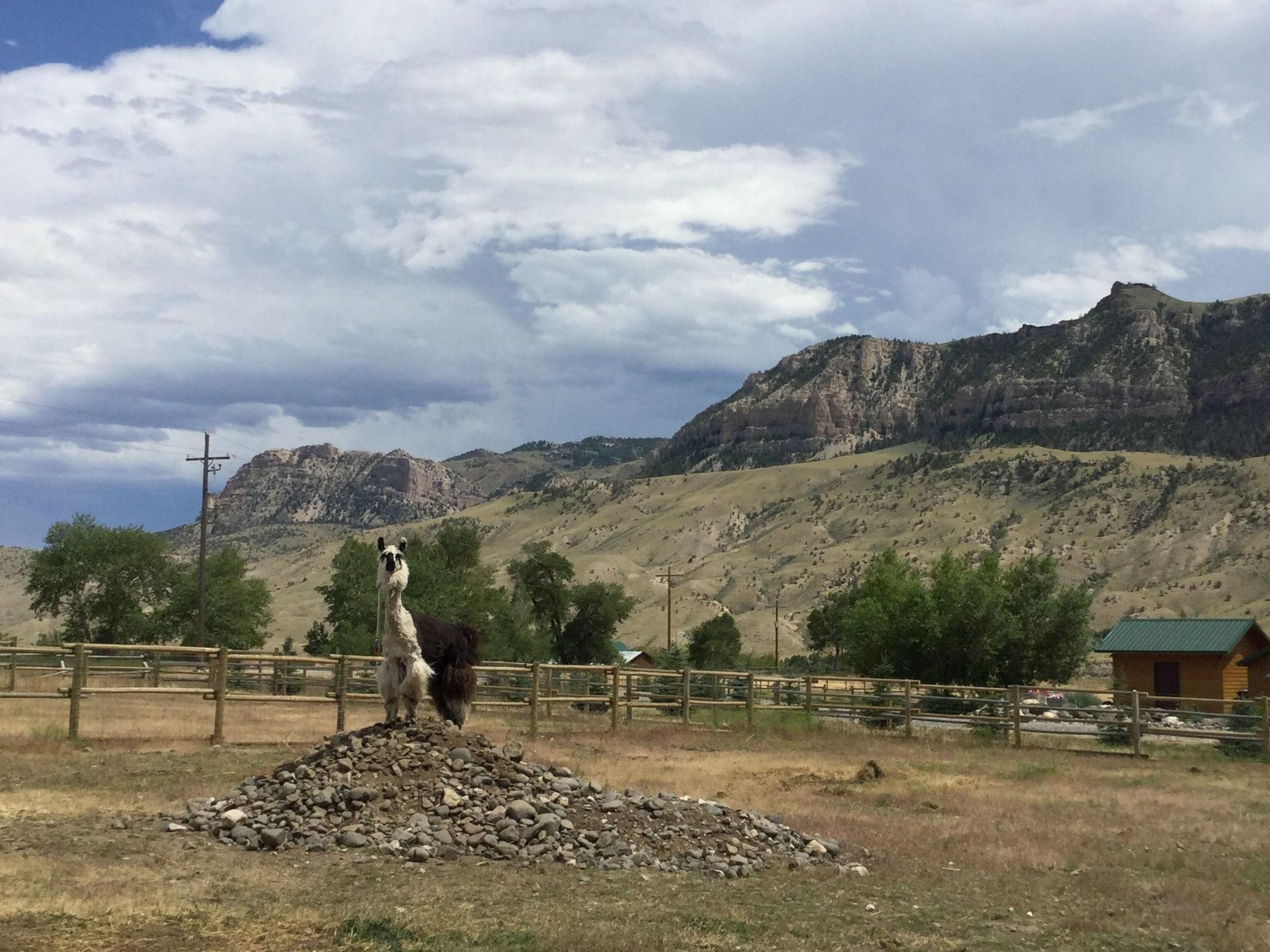 Instalaciones Recreativas Eycat Lodging Company