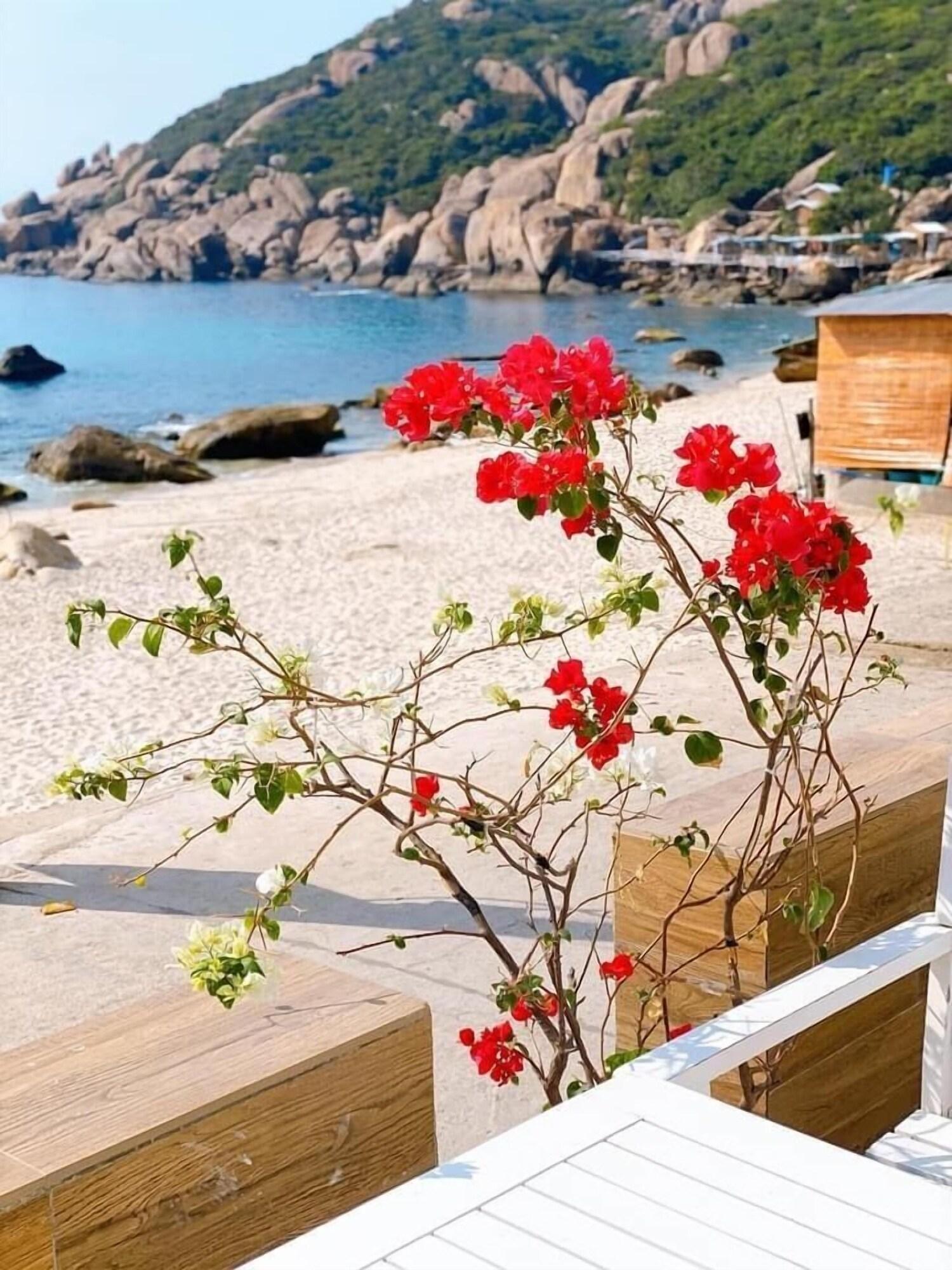 Vista Exterior Blue Anchor Lodge & Cafe-Binh Ba Island