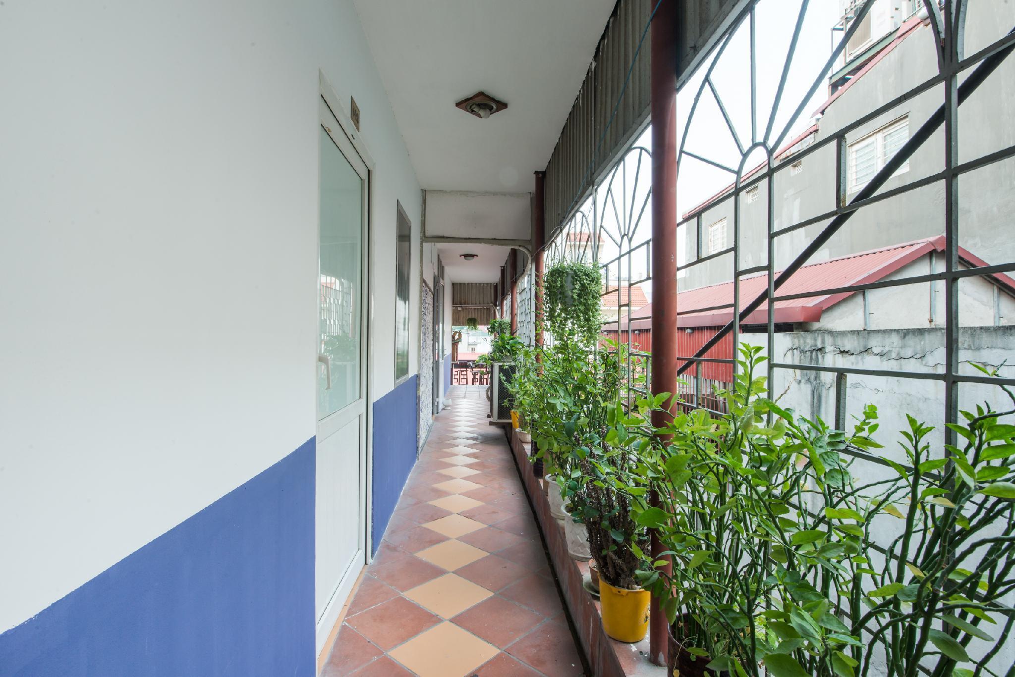 Vista Lobby Gecko Hotel