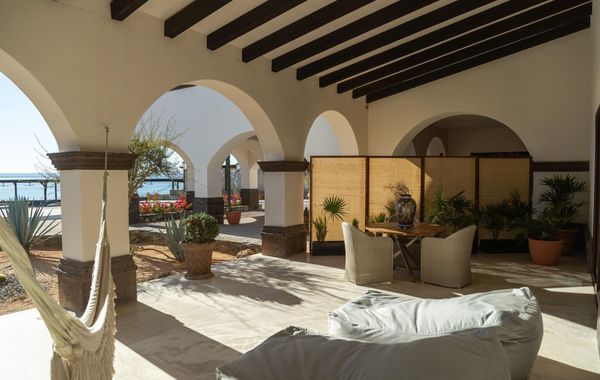Orchid House Baja & Beach Club
