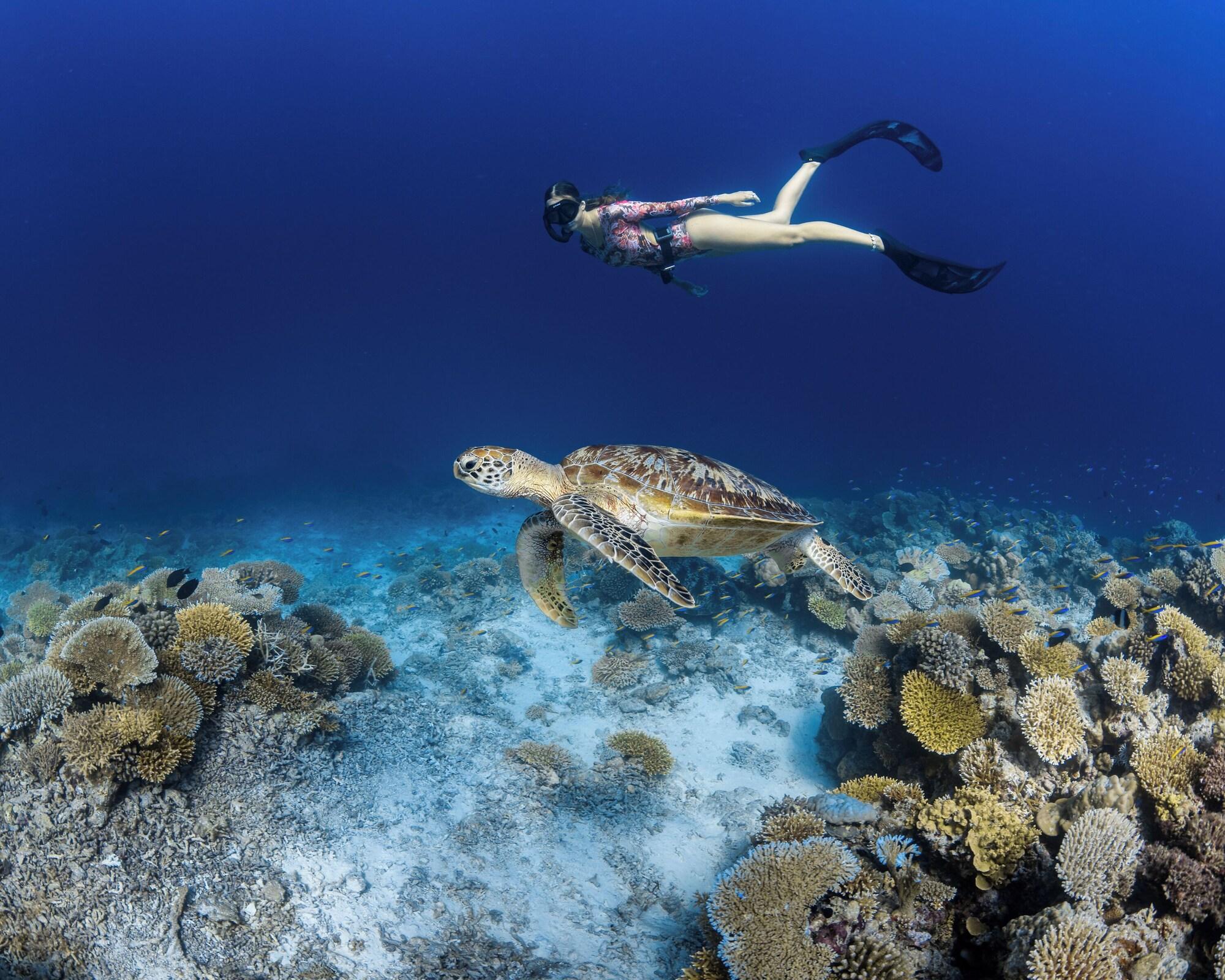 Vista Exterior Park Hyatt Maldives Hadahaa