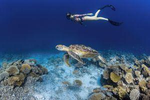 Alojamiento - Park Hyatt Maldives Hadahaa