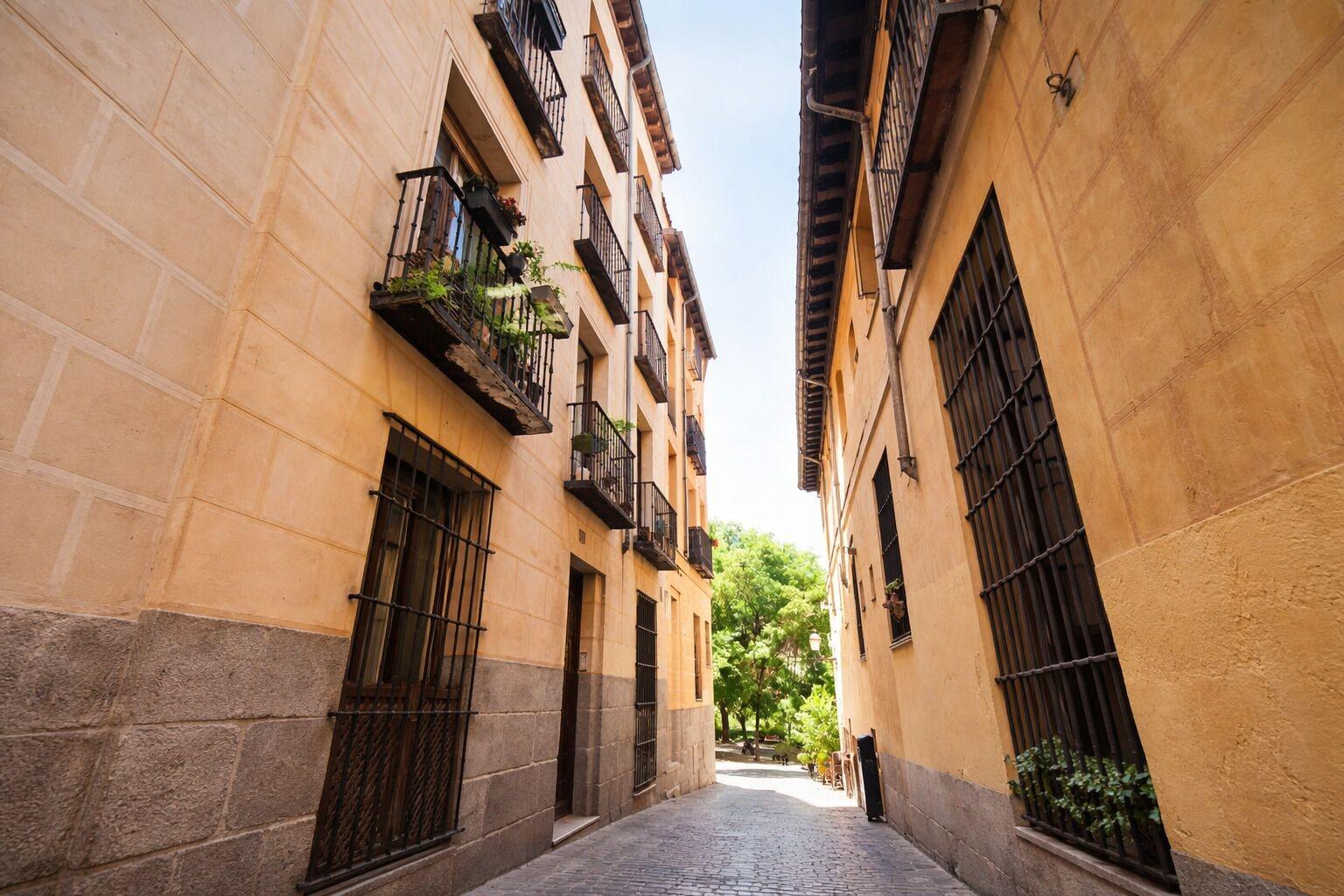 Vista Exterior Toro Madrid