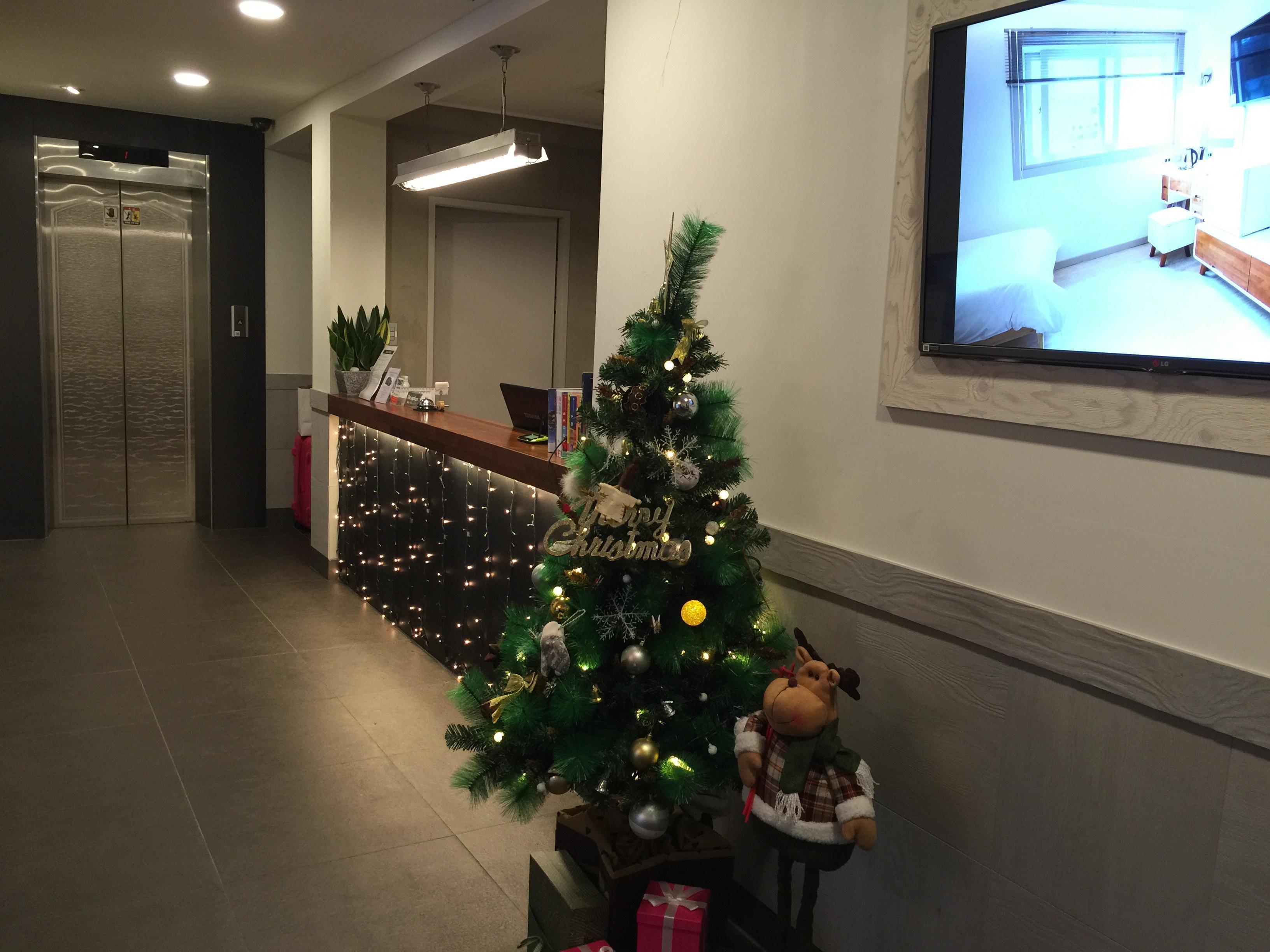 Vista Lobby Petercat Hotel Sinchon Hongdae