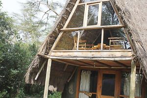 Alojamiento - Oasis Eco Camp