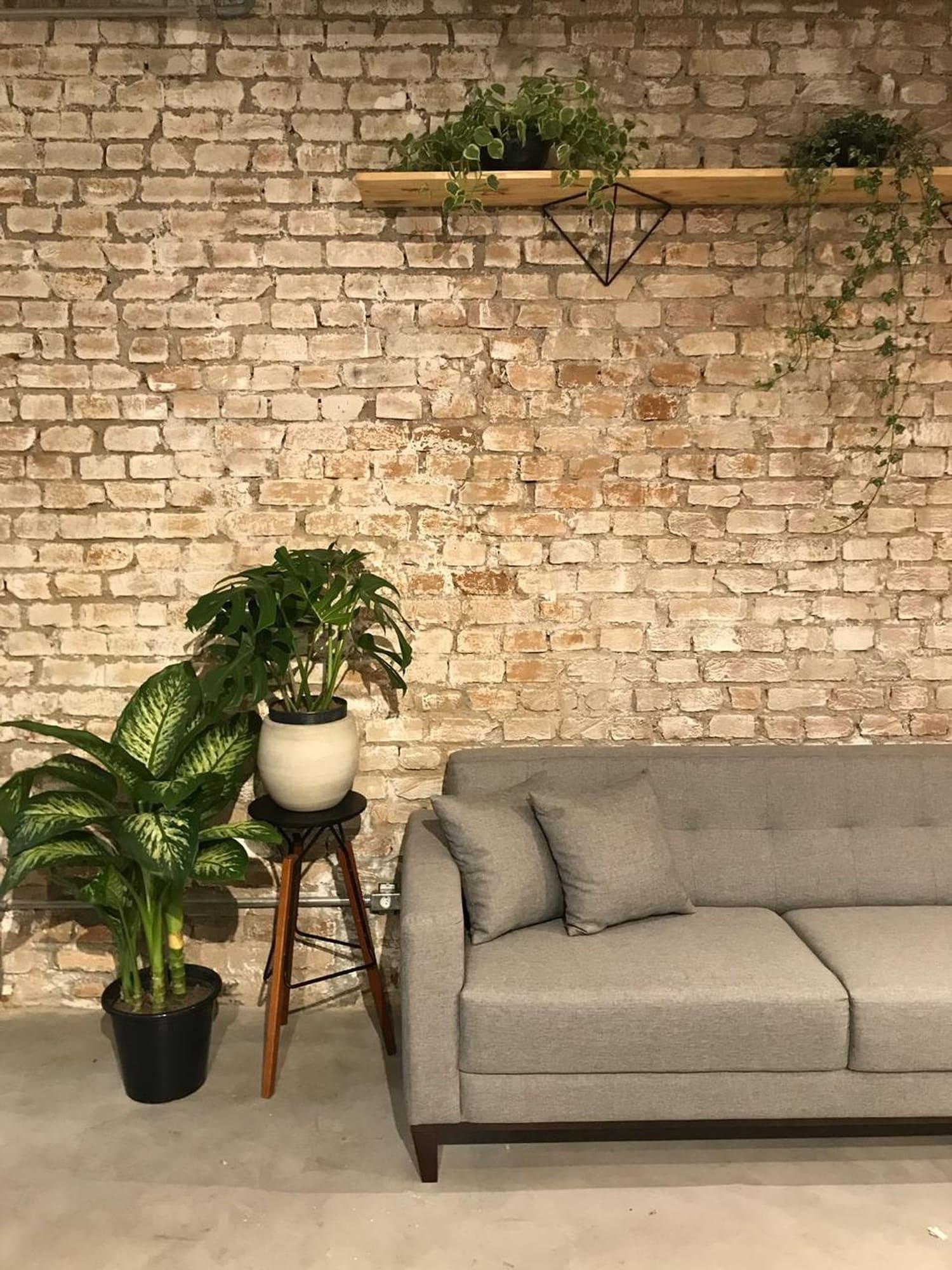 Vista Lobby Imagina Hostel