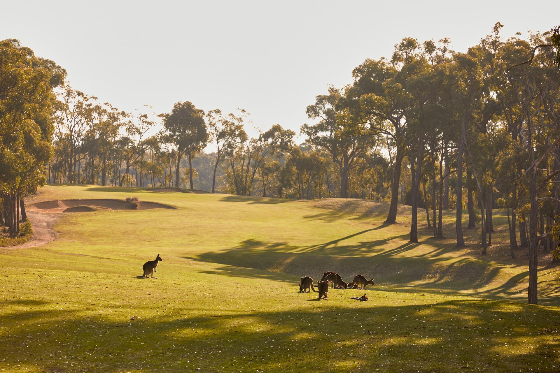Vista Exterior RACV Goldfields Resort