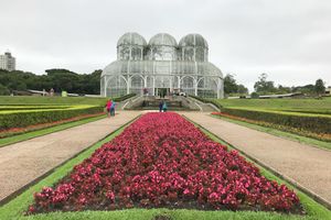 Actividad - Visita a la ciudad con almuerzo.