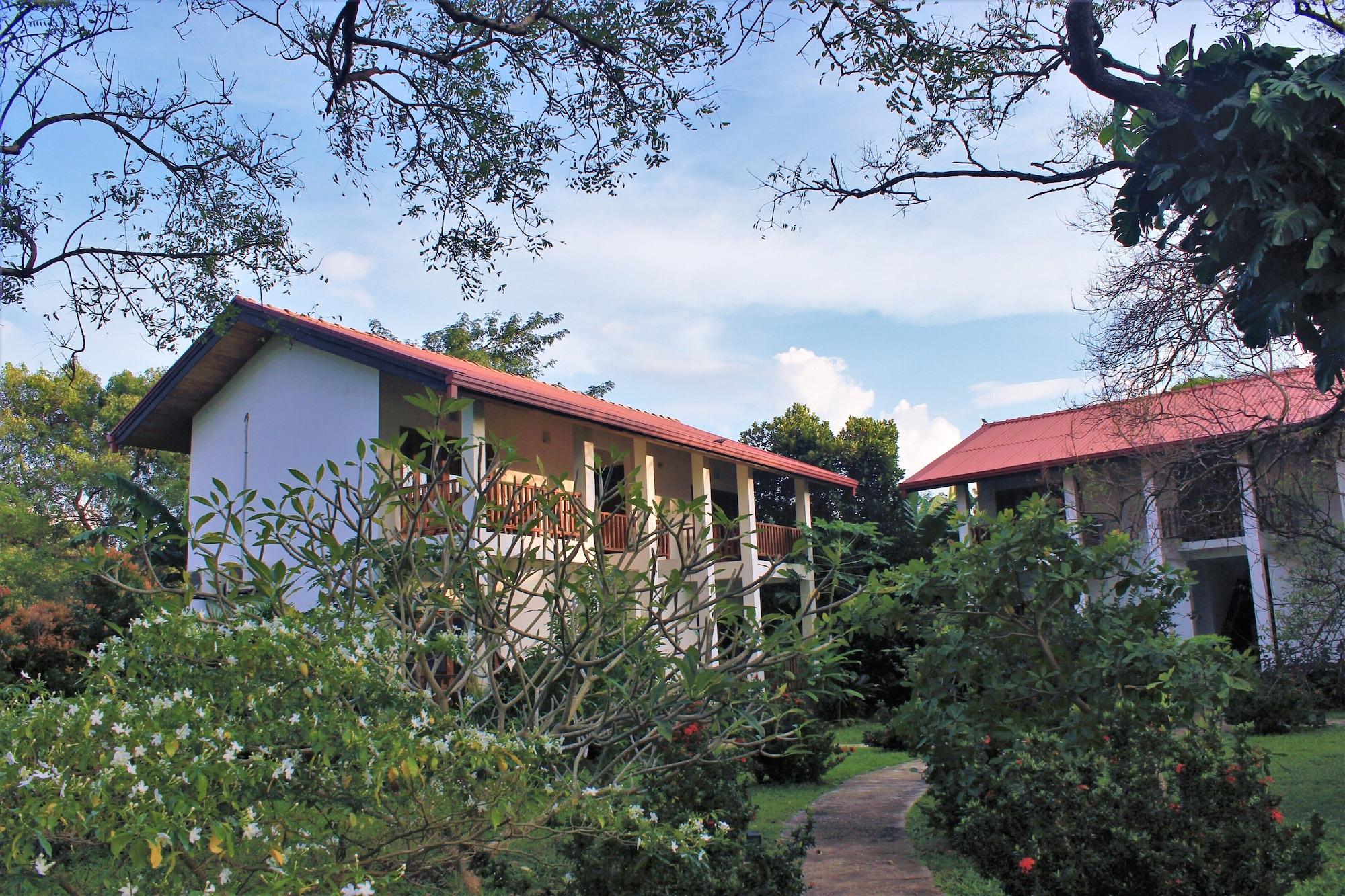 Habitación Blue Turtle Hotel