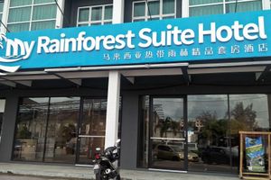 Alojamiento - My Rainforest Suite Hotel