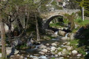 Alojamiento - Hostal Mainz