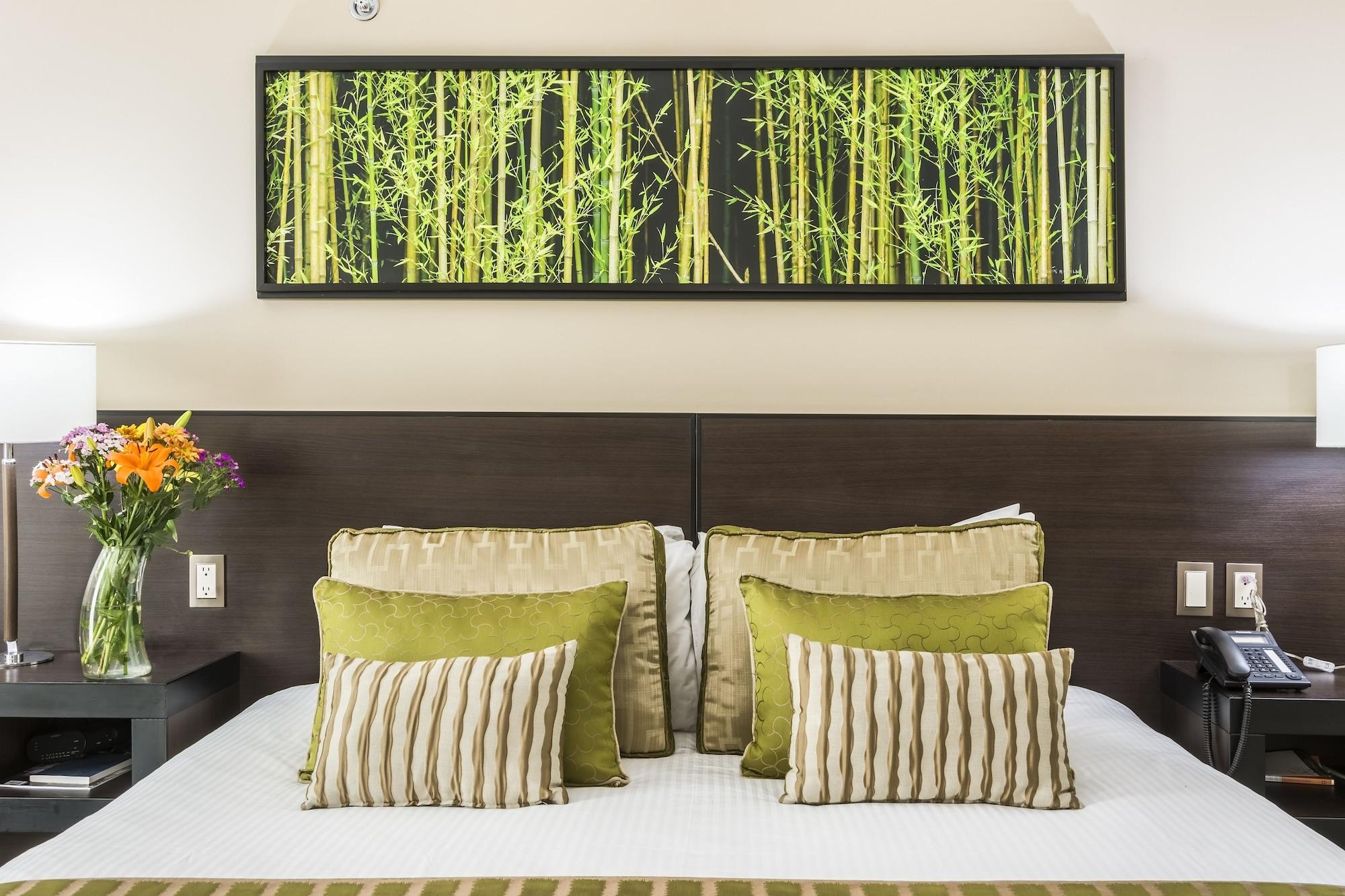 Habitación Studio Hotel Boutique