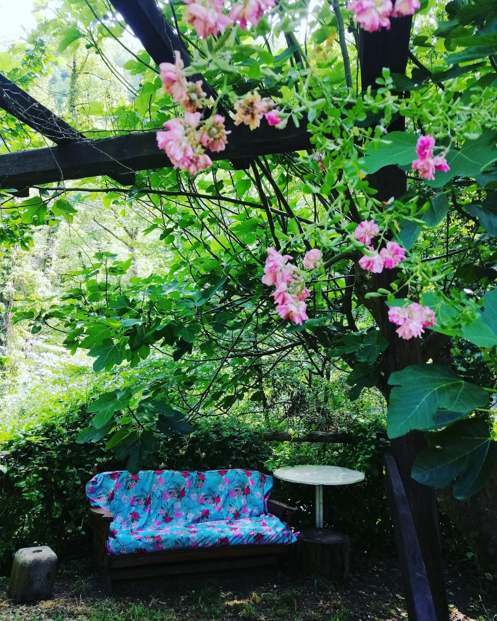 Vista Exterior Agriturismo Arcera